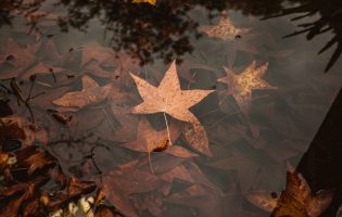 finanzas para el otoño